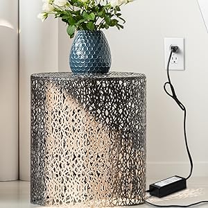 Wagan EL9903 AC to DC Power Adapter 5A 60W Power Converter 110V AC to 12V DC Cigarette Lighter Socket Adapter for 12V Car portable Fridge ETL listed