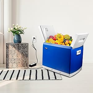 Wagan EL9903 AC to DC Power Adapter 5A 60W Power Converter 110V AC to 12V DC Cigarette Lighter Socket Adapter for 12V Car portable Fridge ETL listed